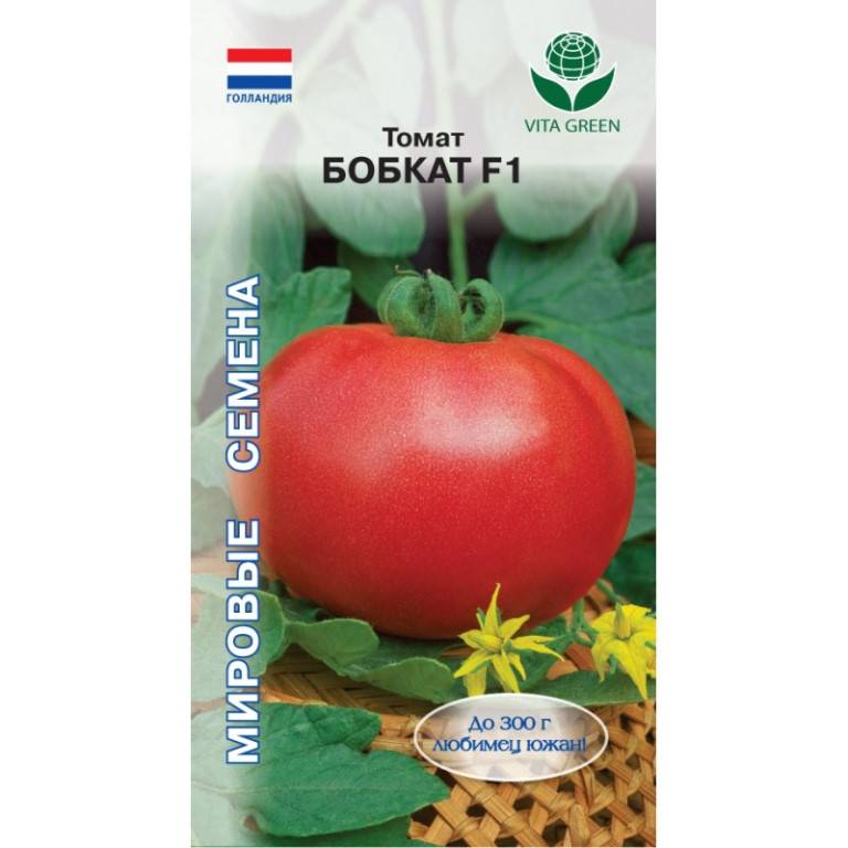 Бобкат - томат нового поколения. особенности  сорта и некоторые секреты агротехники