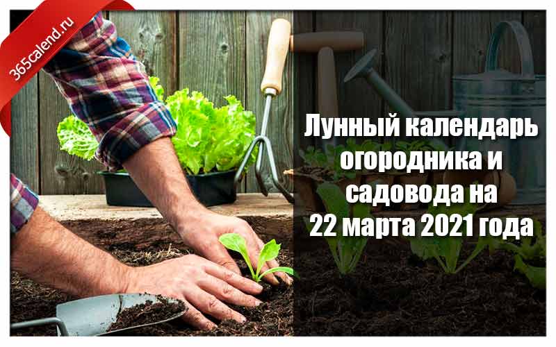 Календарь садовода, цветовода и огородника на май 2020 года