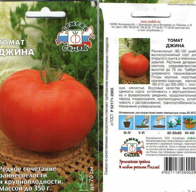 Сорт томата Джина: советы по выращиванию