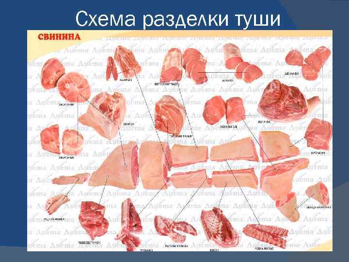 Разделка свиньи: схема разруба и описание частей туши
