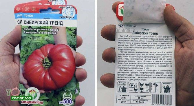 Сорт томата сибирский скороспелый - описание, отзывы