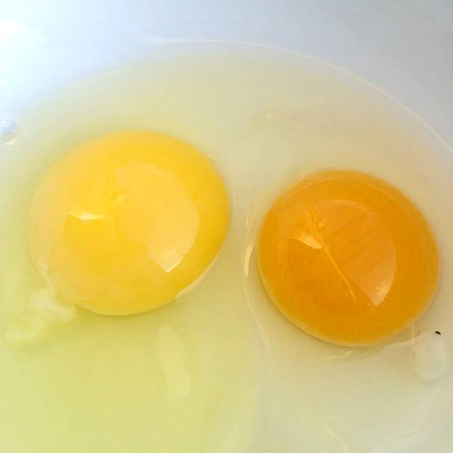 В яйце два желтка что это значит