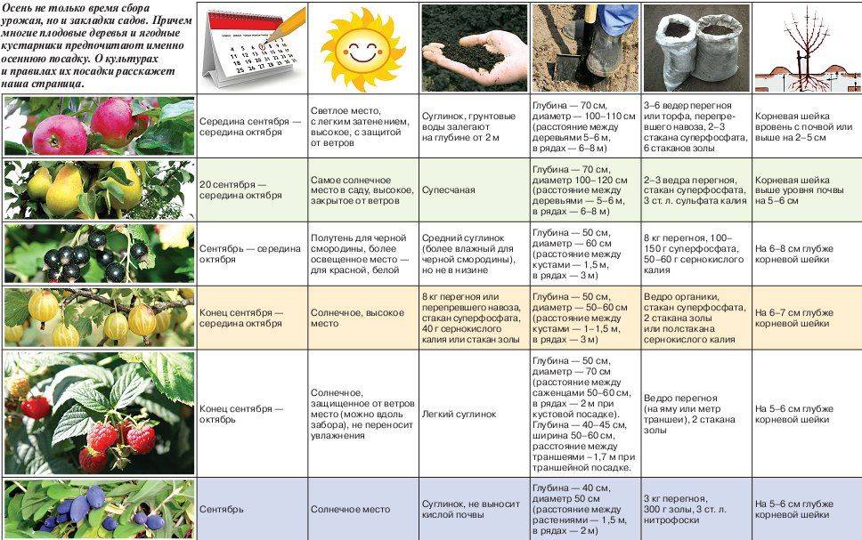 ✅ технология выращивания огурцов в защищенном грунте