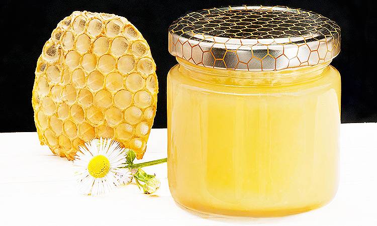Клеверный мед - особенности сорта и полезные свойства