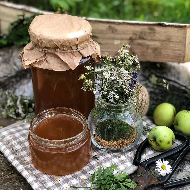 Кориандровый мед: полезные свойства и противопоказания, лечебные рецепты. как определить натуральность –