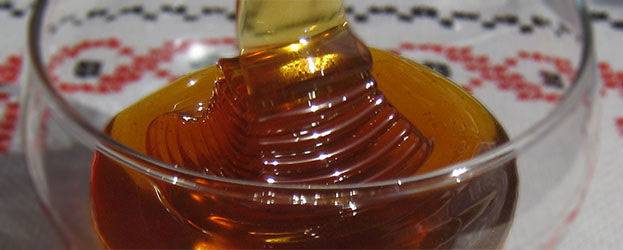 Кориандровый мед: полезные свойства и противопоказания