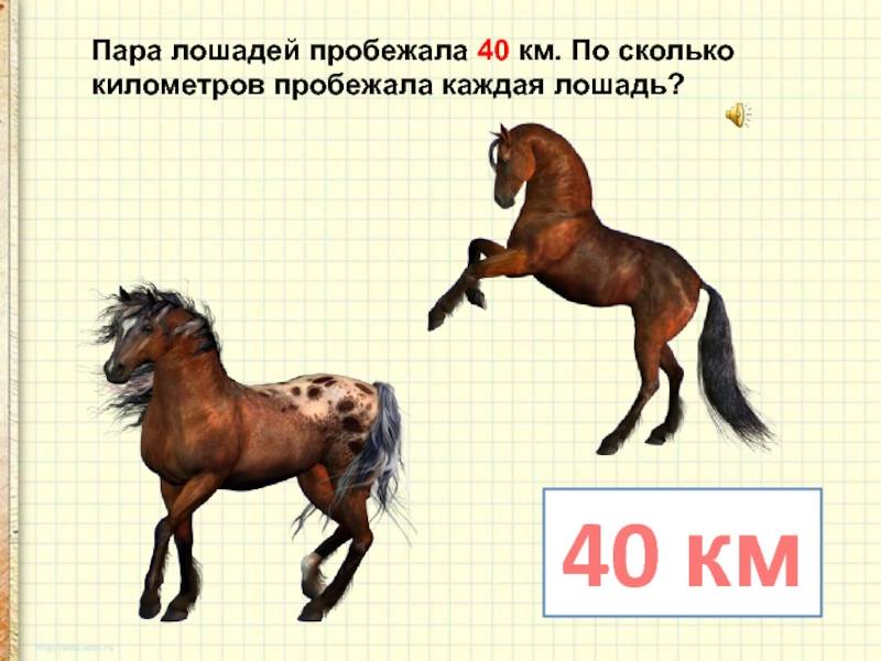Какую скорость может развивать лошадь? Рекорды и рекордсмены