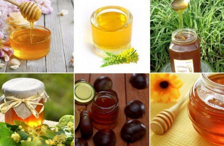 Чем полезен каштановый мед и засахаривается ли он, как определить подделку