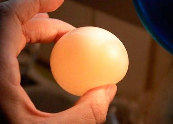 Причины тонкой и слабой скорлупы куриных яиц