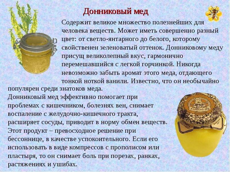 Подсолнечниковый мёд: описание. полезные свойства. рецепты. применение