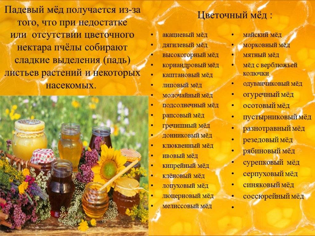 Пчелиный мед: разновидности и сорта меда | огородники