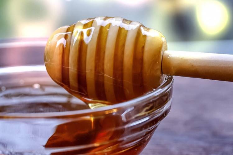 Падевый мед – что это такое: уникальные свойства, состав и применение