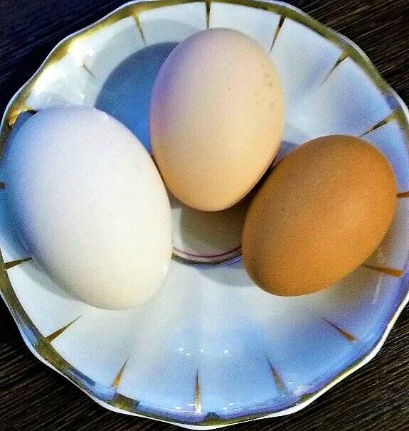 Два желтка в одном яйце — что означает примета? как избавиться от негатива?