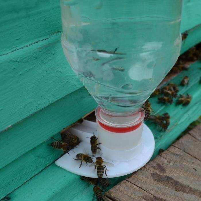 Как сделать простую поилку пчелам с помощью пластиковой бутылки