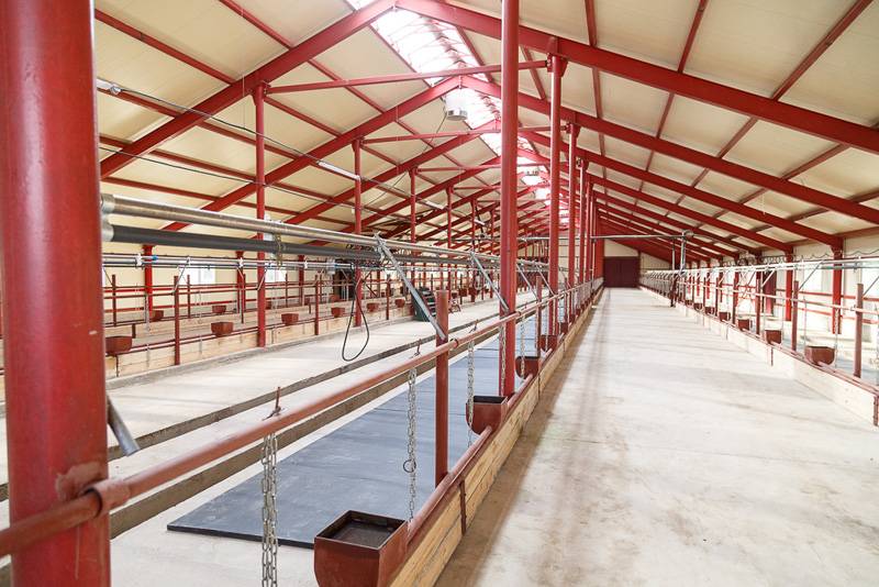 Мини молочная ферма на 50 голов крс для откорма - типовой проект строительства с минимальными затратами