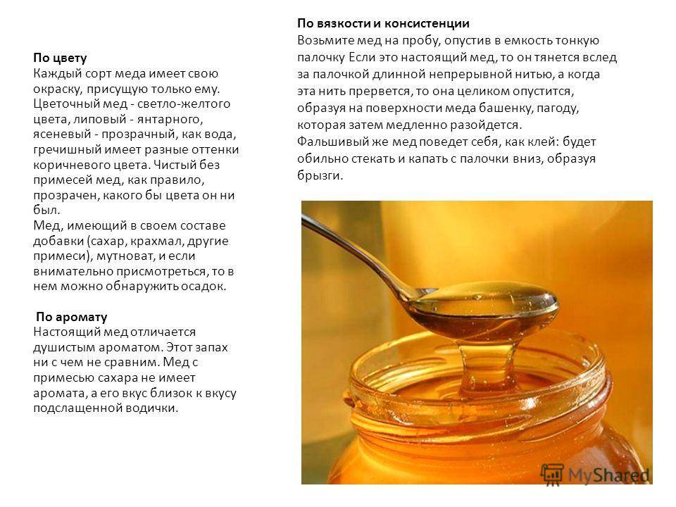 Липовый мед: полезные свойства и противопоказания, химический состав