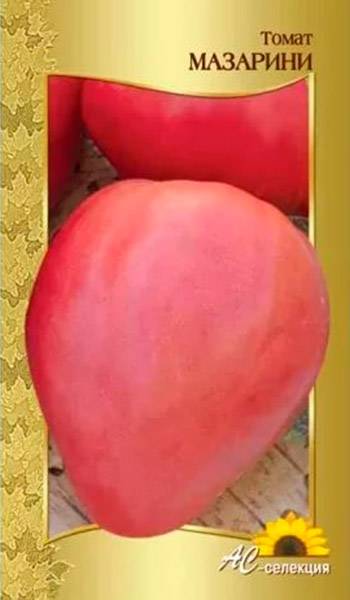 Характеристики, описание и выращивание томата мазарини
