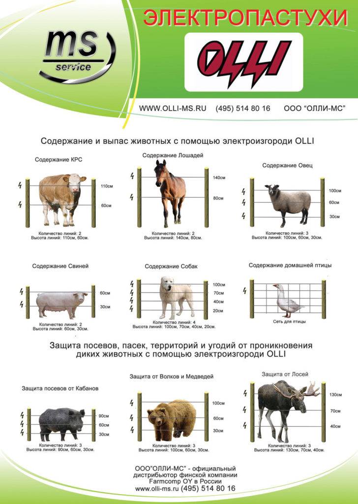 Обзор популярных моделей электроизгороди для коз