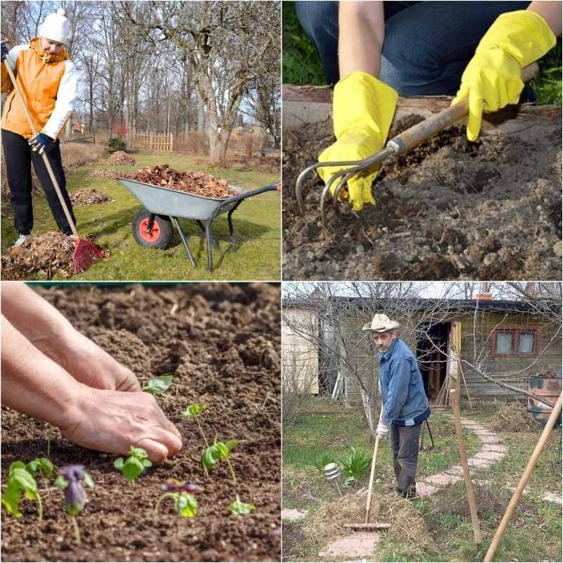 Посадочные работы в огороде и саду в мае 2020 года: благоприятные дни по лунному календарю 