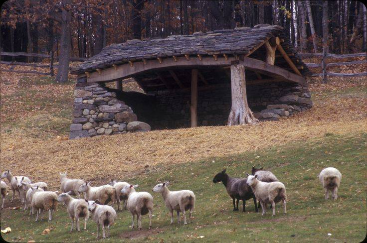 Овчарни: кошара и другие загоны для овец, проекты хлева на 100 и 300 голов. как построить большое стойло своими руками? этапы строительства