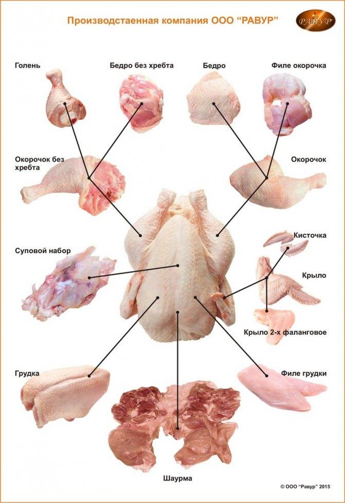 Как разделать курицу на порционные куски, шашлык, отделить мясо от костей