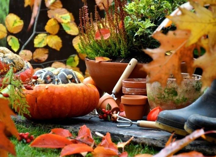 10 самых важных дел в сентябре в саду и огороде / октябрь / 2021 год / журнал calend.ru