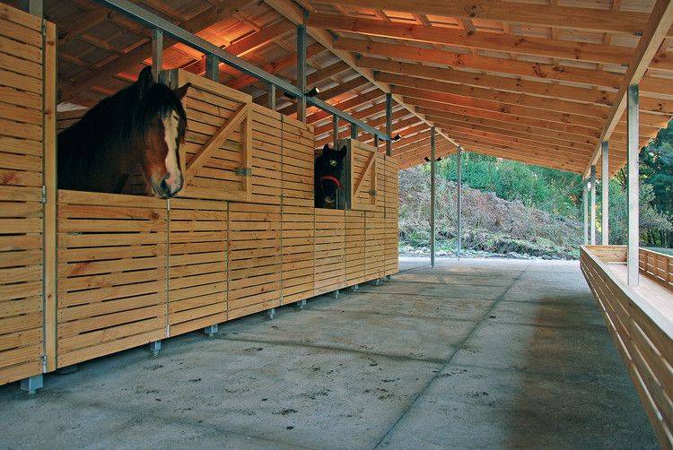 ᐉ конюшня для лошадей - проектирование, постройка своими руками - zooon.ru
