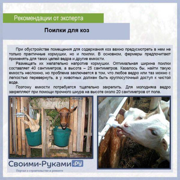 ᐉ кормушки для коз: чертежи, изготовление своими руками - zooon.ru