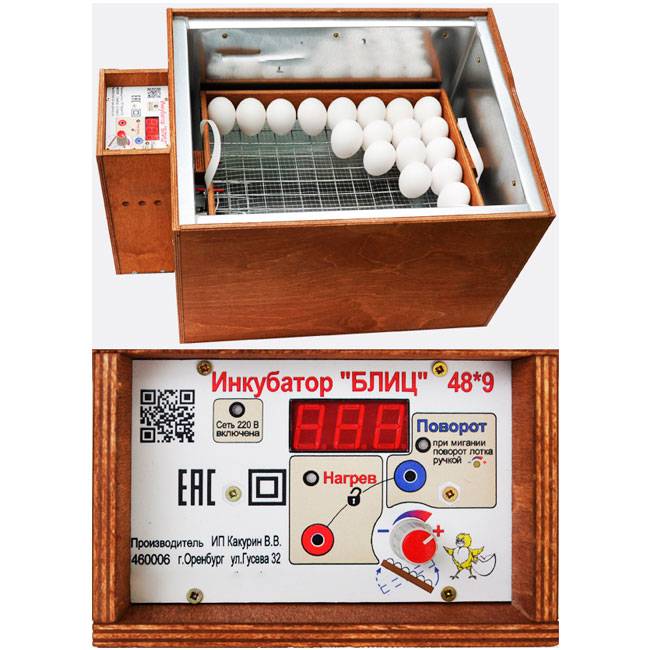 Инкубатор для яиц "блиц-48" - отзыв, преимущества и недостатки