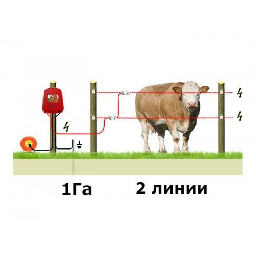 Электропастух для коров своими руками: простейшая схема и инструкция