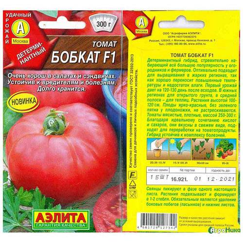 Бобкат - томат нового поколения. особенности  сорта и некоторые секреты агротехники :: syl.ru