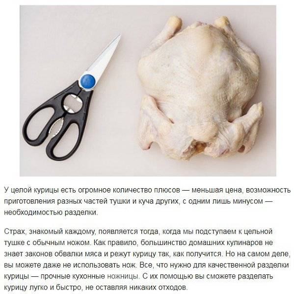 Как правильно распотрошить курицу после забоя ⋆ онлайн-журнал для женщин