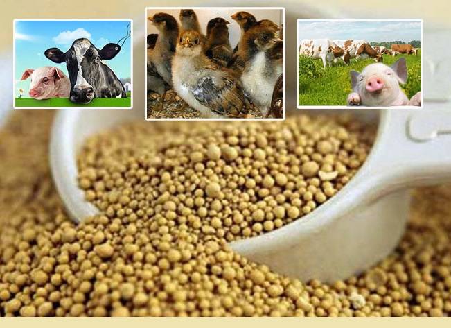Состав сухих кормов для собак: советы ветеринаров, какой состав корма лучше выбрать, выбор дозировки, таблица