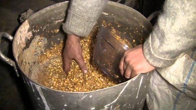 Дрожжевание кормов для кур своими руками: технология, рецепты