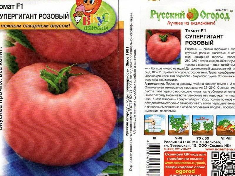 Описание и характеристика сорта помидоров «розовый гигант», преимущества и недостатки этих томатов