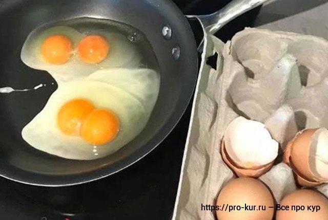 Яйца с двумя желтками: почему их несут куры и можно ли их есть?