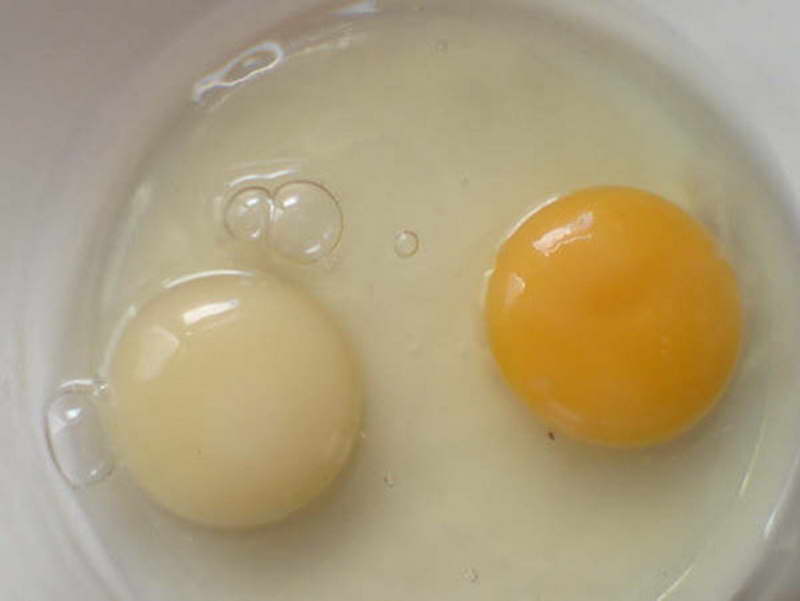 Почему в одном курином яйце два желтка: как получаются двухжелтковые яйца?