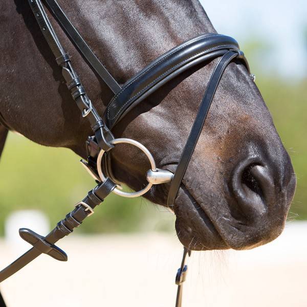 Предметы конной упряжи  — уздечка для лошади, недоуздок, виды узды и как сделать уздечку своими руками