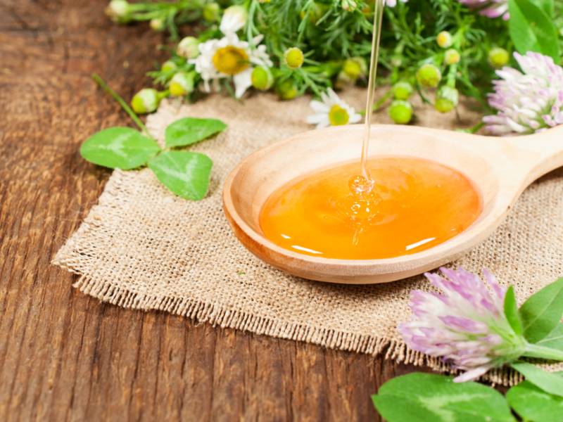 Ценный башкирский продукт — луговой мед. полезные свойства и противопоказания использования лугового меда