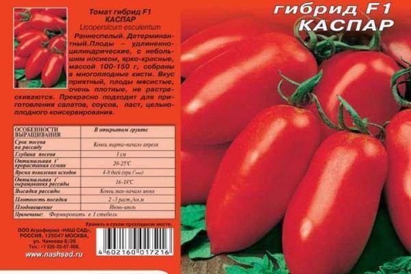 Томат "каспар" f1: описание сорта, характеристики урожайности, рекомендации по выращиванию отличных помидор русский фермер