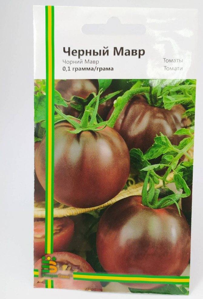 Секреты успешного выращивания томата «черный мавр»