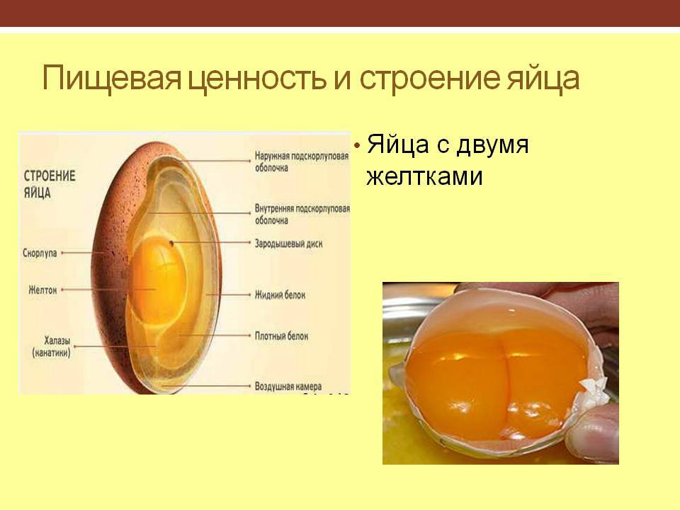 Калорийность яйцо куриное. химический состав и пищевая ценность
