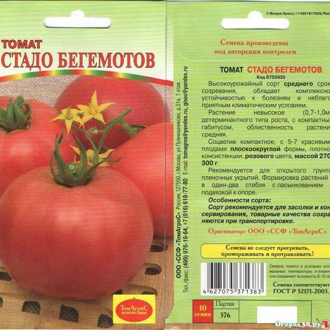 Томат ляна: описание и характеристика сорта, особенности выращивания помидоров, отзывы тех, кто сажал, фото и видео