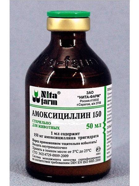 Амоксициллин таблетки 500 мг