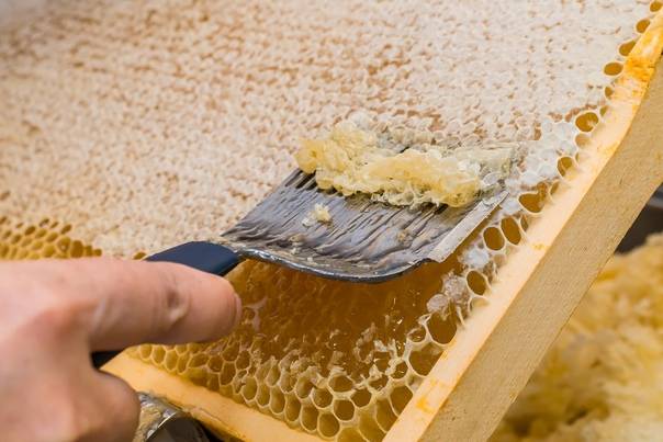 Что такое пчелиный забрус и чем он полезен?
