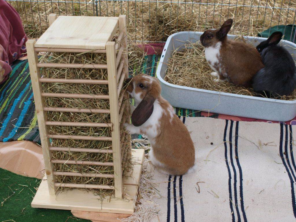 Чертежи бункерной кормушки для кроликов своими руками