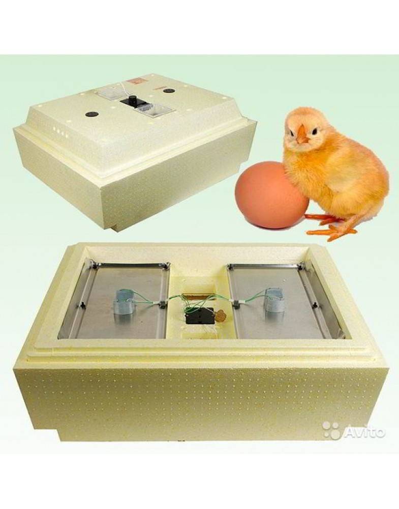 Выведение птенцов в домашних условиях: рейтинг лучших бытовых инкубаторов 2021 года