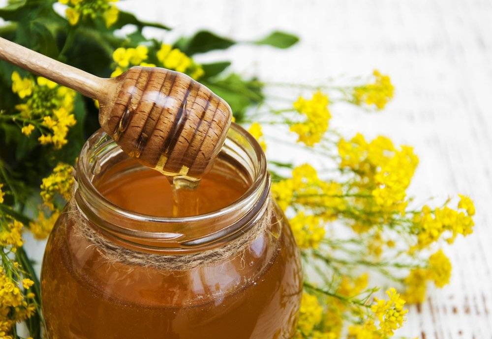 Рапсовый мед: чем полезен, чем вреден, описание и характеристика