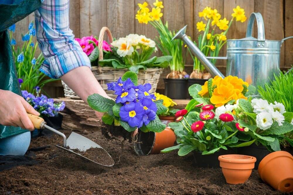 Работы в саду и огороде весной: март, апрель и май