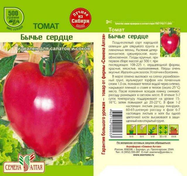 Томат бычье сердце: 125 фото томатов и секреты их выращивания для начинающих огородников